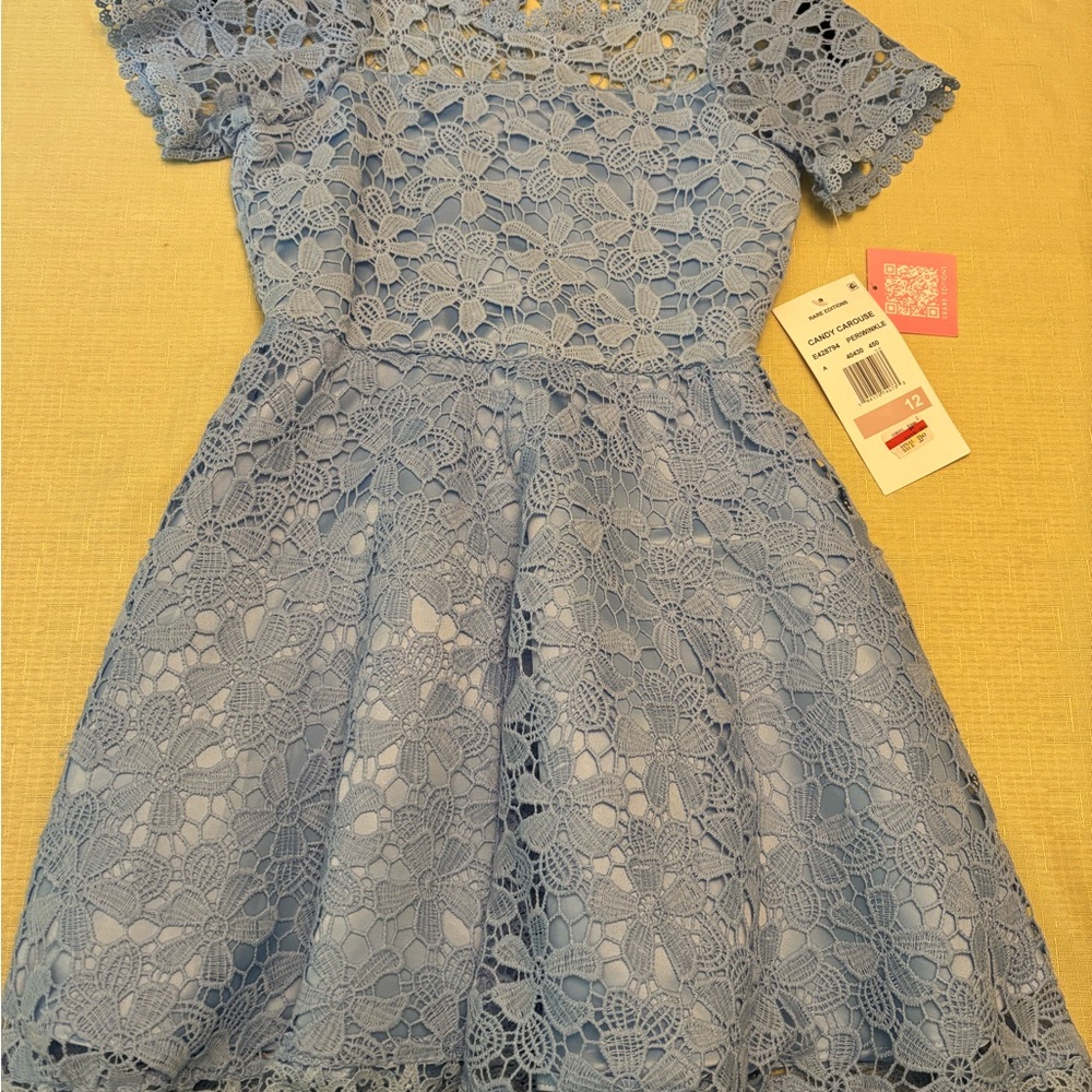 Rare Editions Blue Floral Lace Dress